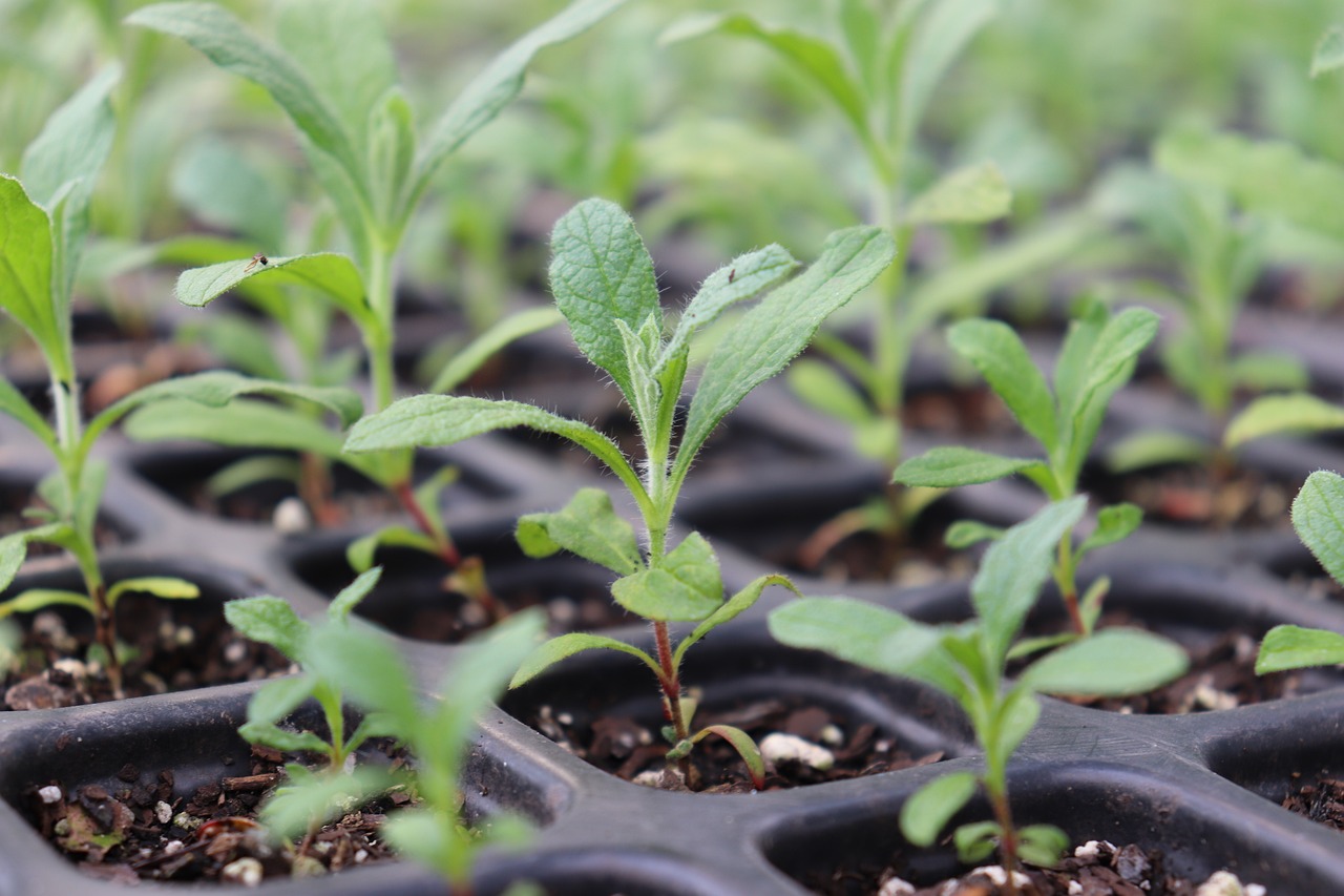 Sustainable Innovations Making a Difference